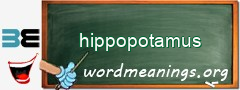 WordMeaning blackboard for hippopotamus